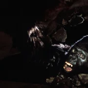 King Kong Lives - galeria zdjęć - filmweb