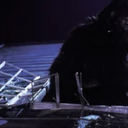 King Kong Lives - galeria zdjęć - filmweb