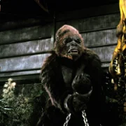 King Kong Lives - galeria zdjęć - filmweb