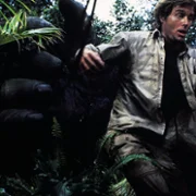 King Kong Lives - galeria zdjęć - filmweb