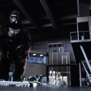 King Kong Lives - galeria zdjęć - filmweb