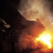 King Kong Lives - galeria zdjęć - filmweb