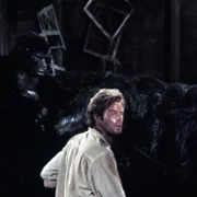 King Kong Lives - galeria zdjęć - filmweb