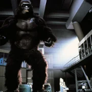 King Kong Lives - galeria zdjęć - filmweb
