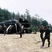 King Kong Lives - galeria zdjęć - filmweb