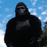 King Kong Lives - galeria zdjęć - filmweb