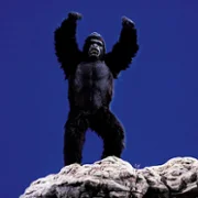 King Kong Lives - galeria zdjęć - filmweb