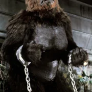 King Kong Lives - galeria zdjęć - filmweb