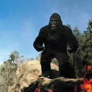 King Kong Lives - galeria zdjęć - filmweb