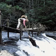 King Kong Lives - galeria zdjęć - filmweb