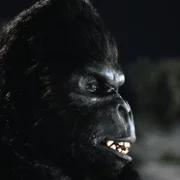 King Kong Lives - galeria zdjęć - filmweb