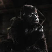 King Kong Lives - galeria zdjęć - filmweb