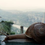Gaey Wa'r - galeria zdjęć - filmweb