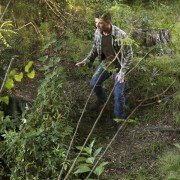 Secrets and Lies - galeria zdjęć - filmweb