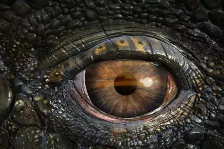 Sea Rex 3D. Podróż do prehistorycznego świata - galeria zdjęć - filmweb