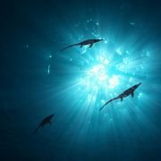 Sea Rex 3D. Podróż do prehistorycznego świata - galeria zdjęć - filmweb