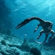 Sea Rex 3D: Journey to a Prehistoric World - galeria zdjęć - filmweb