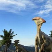 Sea Rex 3D: Journey to a Prehistoric World - galeria zdjęć - filmweb