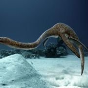 Sea Rex 3D: Journey to a Prehistoric World - galeria zdjęć - filmweb
