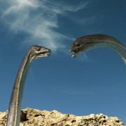 Sea Rex 3D: Journey to a Prehistoric World - galeria zdjęć - filmweb