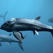 Sea Rex 3D: Journey to a Prehistoric World - galeria zdjęć - filmweb