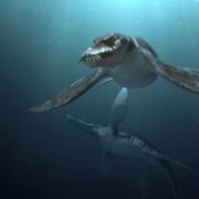 Sea Rex 3D: Journey to a Prehistoric World - galeria zdjęć - filmweb