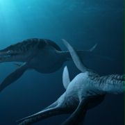Sea Rex 3D: Journey to a Prehistoric World - galeria zdjęć - filmweb