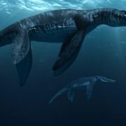 Sea Rex 3D: Journey to a Prehistoric World - galeria zdjęć - filmweb