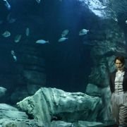 Sea Rex 3D: Journey to a Prehistoric World - galeria zdjęć - filmweb