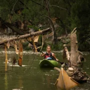 Alfa - galeria zdjęć - filmweb