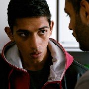 Bébé tigre - galeria zdjęć - filmweb