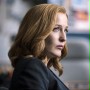 Gillian Anderson