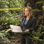 The X Files - galeria zdjęć - filmweb
