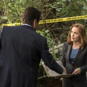 The X Files - galeria zdjęć - filmweb