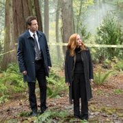 The X Files - galeria zdjęć - filmweb