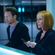 The X Files - galeria zdjęć - filmweb