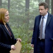 The X Files - galeria zdjęć - filmweb
