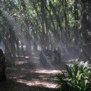 Labyrinth - galeria zdjęć - filmweb