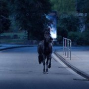 Ostwind - Der große Orkan - galeria zdjęć - filmweb