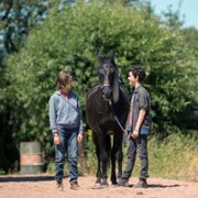 Wicher. Ostatni rozdział - galeria zdjęć - filmweb