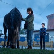 Wicher. Ostatni rozdział - galeria zdjęć - filmweb