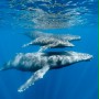 Ocean przyg&oacute;d 3D - galeria zdjęć
