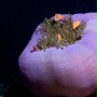 Ocean przyg&oacute;d 3D - galeria zdjęć