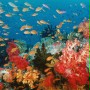 Ocean przyg&oacute;d 3D - galeria zdjęć