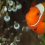 Ocean przyg&oacute;d 3D - galeria zdjęć