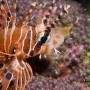 Ocean przyg&oacute;d 3D - galeria zdjęć