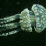 Ocean przyg&oacute;d 3D - galeria zdjęć