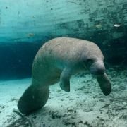 OceanWorld 3D - galeria zdjęć - filmweb