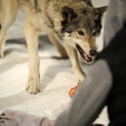 Frozen - galeria zdjęć - filmweb
