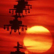 Fire Birds - galeria zdjęć - filmweb